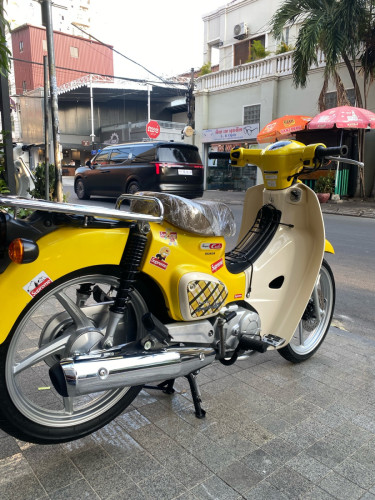Honda Super Cup 019 ក្រដាស់ពន្ធ