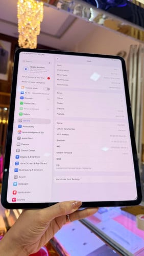 iPad M4 13” 512G Cellular & WiFi 980$