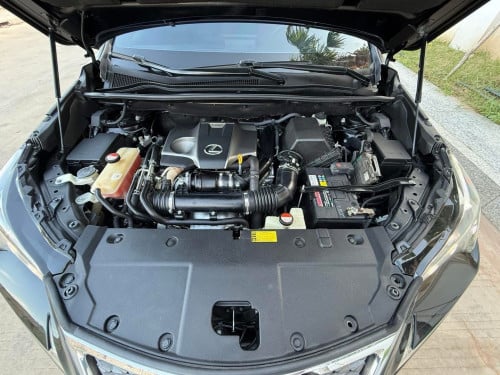 NX 200t F-Sport 2015 គុជ3 ក្នុងCherry