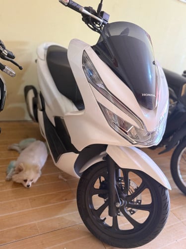 PCXជប៉ុនកម្លាំង125cc2019 ក្រដាស់ពន្ធថ្មីស្អាត💯