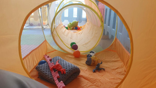 Play Ground លក់តម្លៃចរចារ