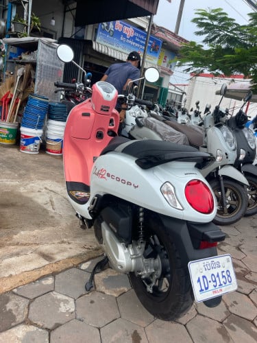 Scoopyi.  024