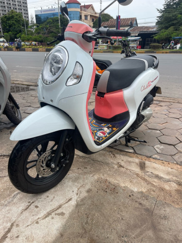 Scoopyi.  024