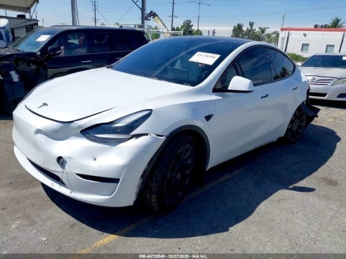 Tesla Model Y 2024 Long Rang Doul Motor All Wheel Drive
