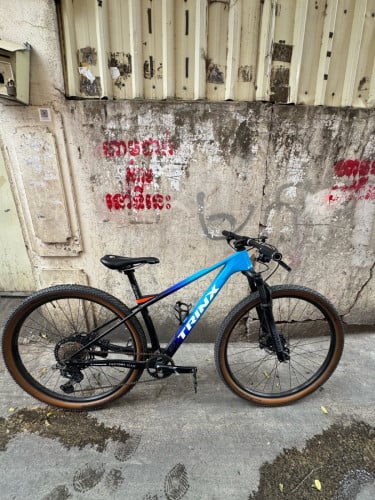 Trinx Factory Team Carbon
