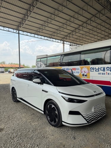 Xpeng X9 Performance 2025 (Top option)