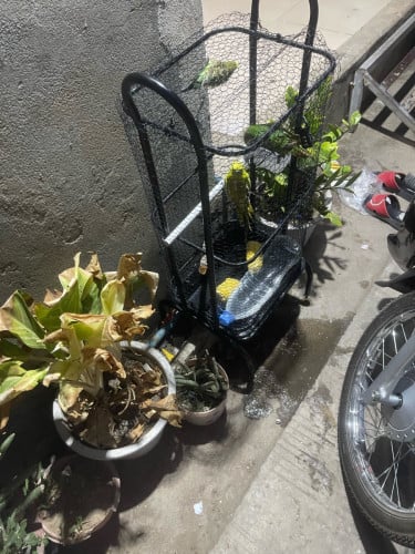 លក់ទាំងទ្រុងទាំងសេកសាំងៗ