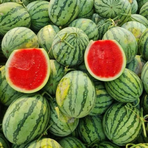 ឪឡឹកអត់គ្រាប់