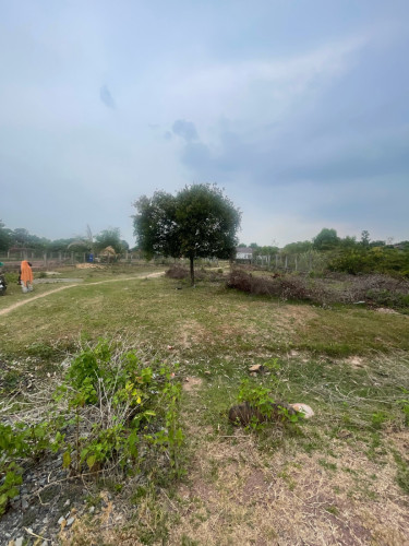 កំពតដីលក់ធូក្រោមទីផ្សា