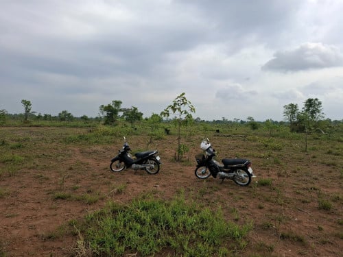 ដីសម្រាប់លក់ក្នុងតម្លៃ1ហិចតា 1250