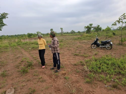 ដីសម្រាប់លក់ក្នុងតម្លៃ1ហិចតា 1250