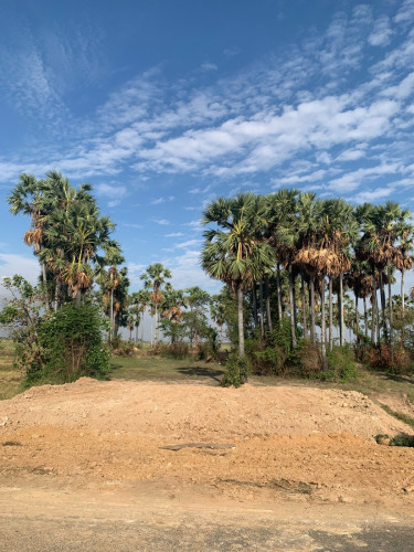 ដីលក់ទីតាំង​ 1.ជាប់ផ្លូវកៅស៊ូ​ ទីតាំងល្អជិះត្រឹមតែ​ 2នាទីដល់សាលាបឋមសិក្សាស្វាយ