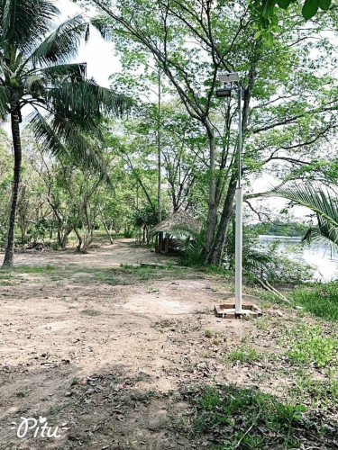 ដីជាប់ព្រែកធំលក់បន្ទាន់ក្រោមទីផ្សា50%