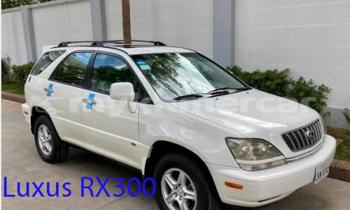 Kim-Car Rental Service