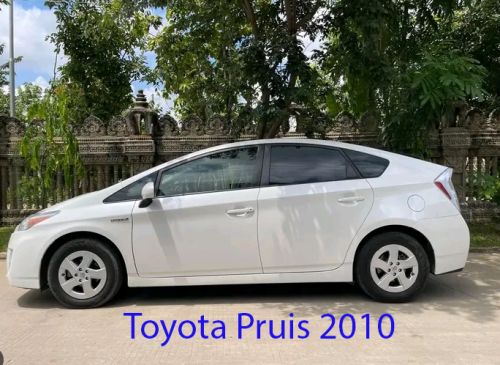 Kim-Car Rental Service