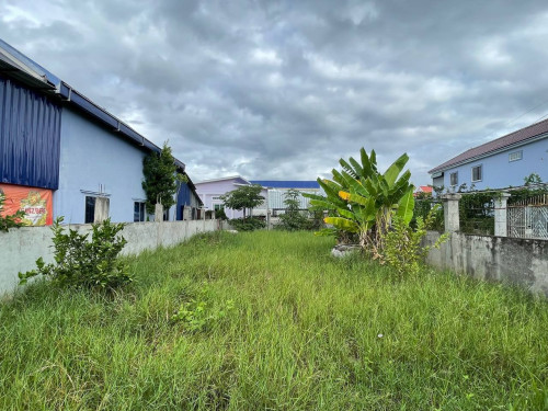 Land For Sale or Rent
