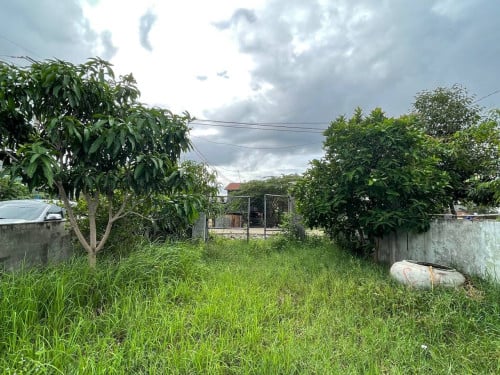Land For Sale or Rent