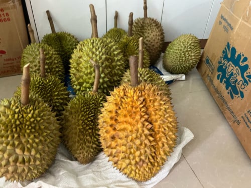 Memot durianb 26000r per kg