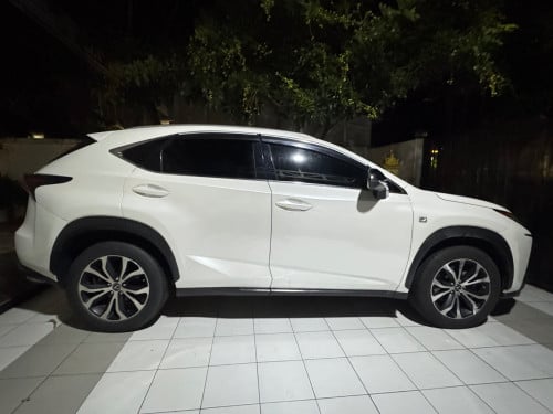 NX Fsport 100% no hit