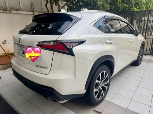 NX Fsport 100% no hit