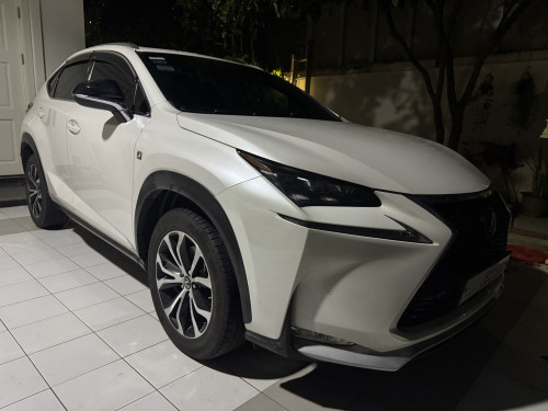 NX Fsport 100% no hit