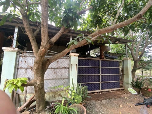 លក់ចោល