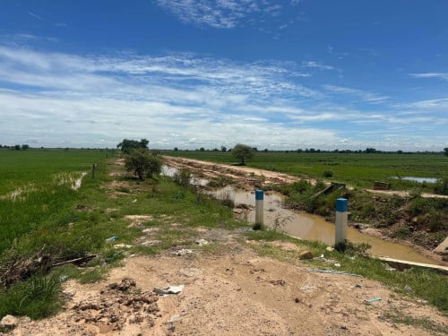 ដីលក់បន្ទាន់ស្រុកខ្សាច់កណ្ដាល ទំហំ ៦ហិតា
