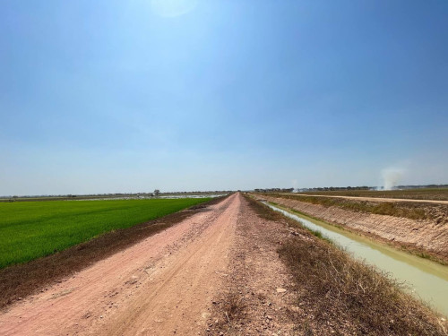 ដីលក់បន្ទាន់ស្រុកខ្សាច់កណ្ដាល ទំហំ ៦ហិតា