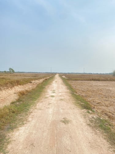 ដីកែប លក់បន្ទាន់
