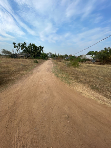 ដីលក់ ឬ ជួលបន្ទាន់