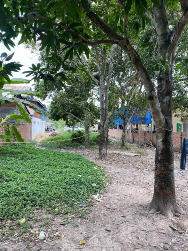 ដីលក់បន្ទាន់