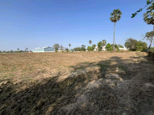 លក់ដីស្រែ ទំហំ ៤៥A
