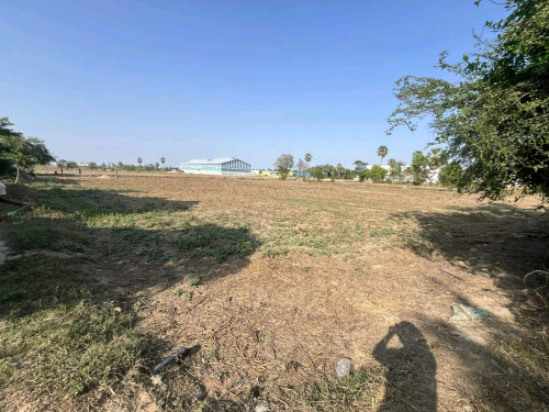លក់ដីស្រែ ទំហំ ៤៥A