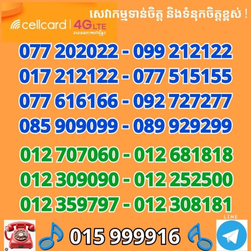 078 919696 , 078 887878