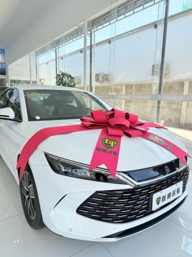 BYD Qin  L