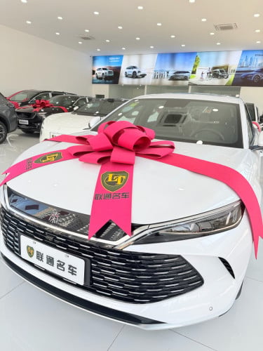 BYD Qin  L