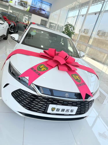 BYD Qin  L