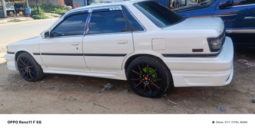 camry ស្វិត91