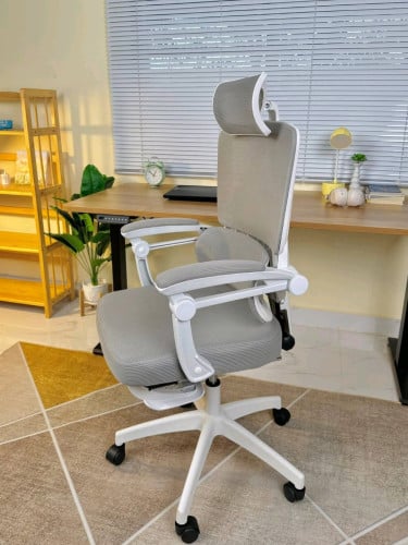 Economics chair