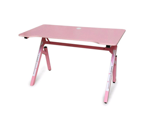 Gaming Desk