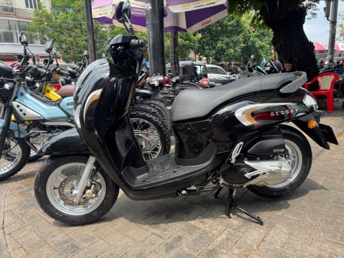Honda Scoopy 2026(NCX)
