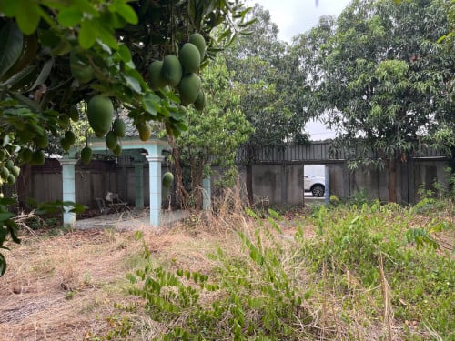 Land for Rent