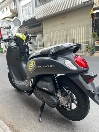 Scoopy