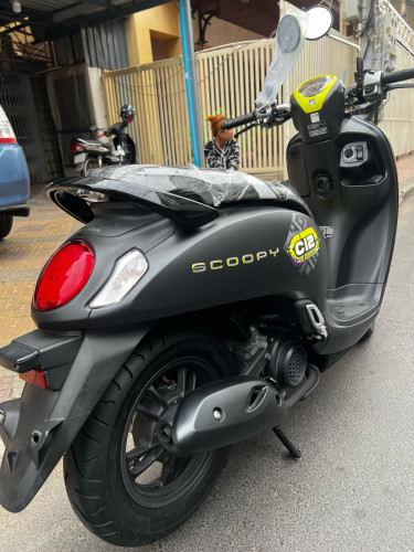 Scoopy