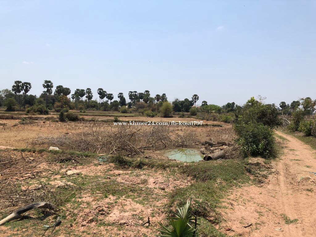 ដីលក់បន្ទាន់ (ម្ចាស់លក់ខាត)