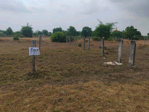 ដីលក់ ប្លង់រឹង