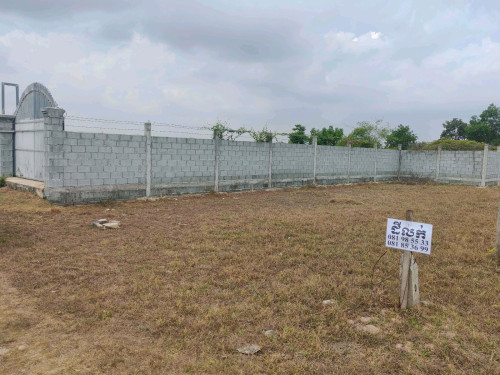ដីលក់ ប្លង់រឹង