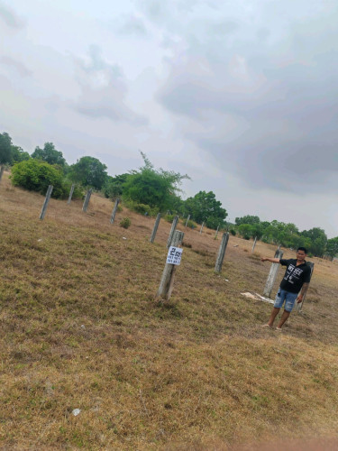 ដីលក់ ប្លង់រឹង