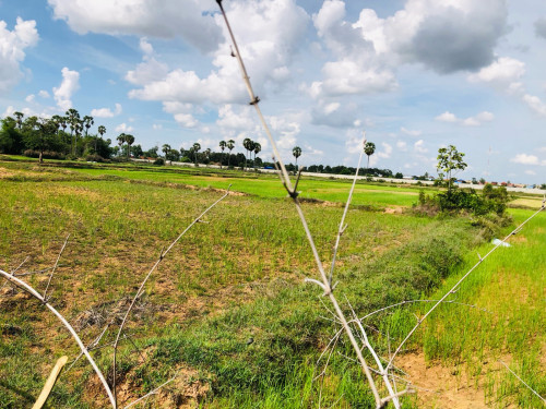 ដីលក់បន្ទាន់ (ម្ចាស់លក់ខាត)