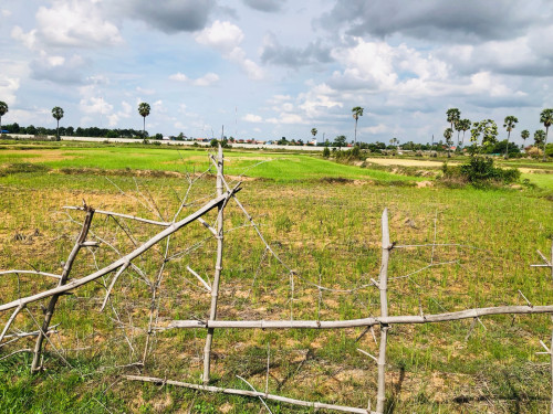 ដីលក់បន្ទាន់ (ម្ចាស់លក់ខាត)